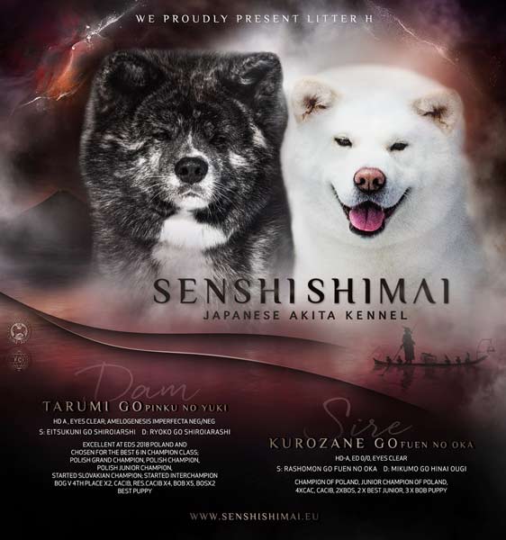 TAMI_GOSHO_Res_600px